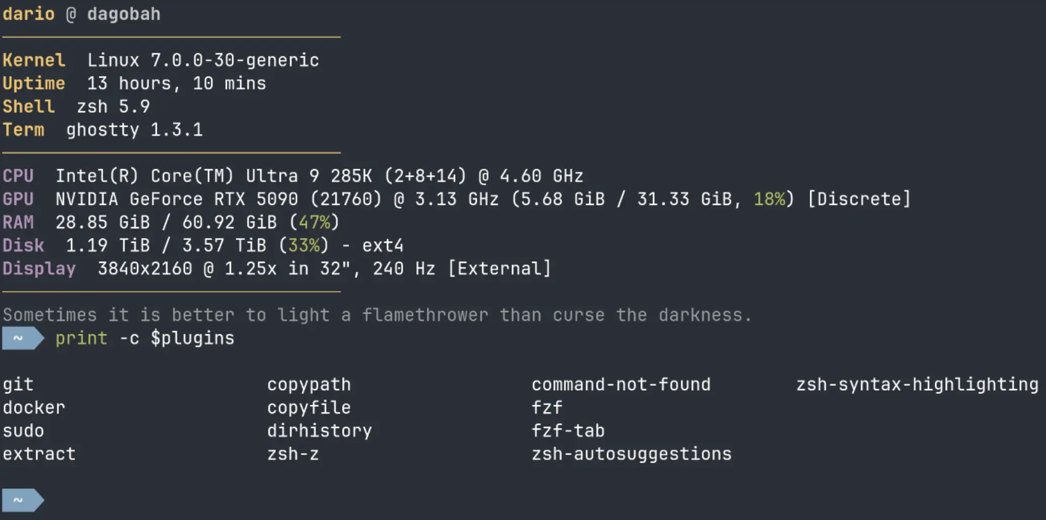 Terminal Ghostty affichant la sortie de fastfetch puis celle de print -c $plugins, listant les treize plugins Oh My Zsh actifs